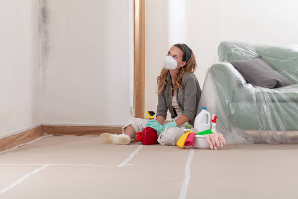Reliable Mold Inspection contractor in Berwyn, PA by WQB Mold Removal